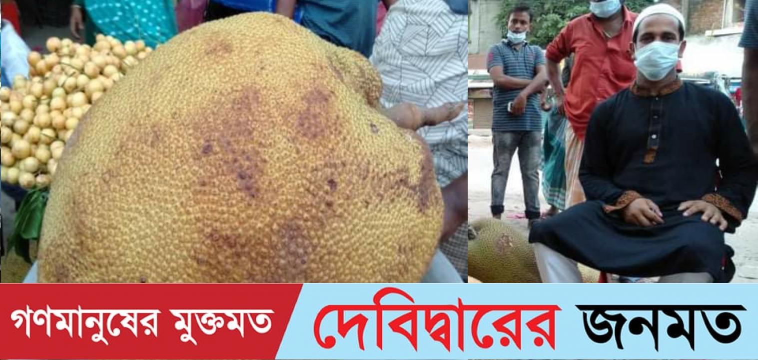 দেবীদ্বারে ৬০ কেজি ওজনের কাঁঠাল নিয়ে বসে আছে ব্যবসায়িক, নাই ক্রেতা 