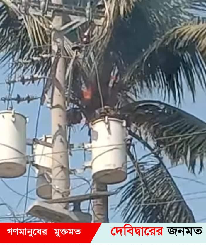 দেবীদ্বার পান বাজারের নারিকেল গাছেআগুন!