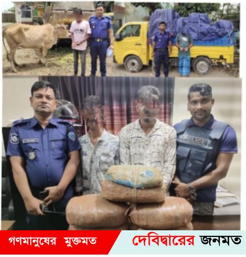 দেবীদ্বারে দুই মাদকব্যবসায়ী,গরুচোর,শাড়ী চোরাকারবারিসহ আটক ৪