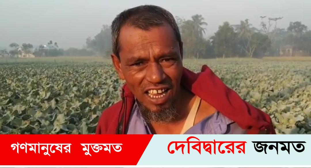 দেবীদ্বারে শীতকালীন সবজিতে ফসলের মাঠে কৃষকের হাসি