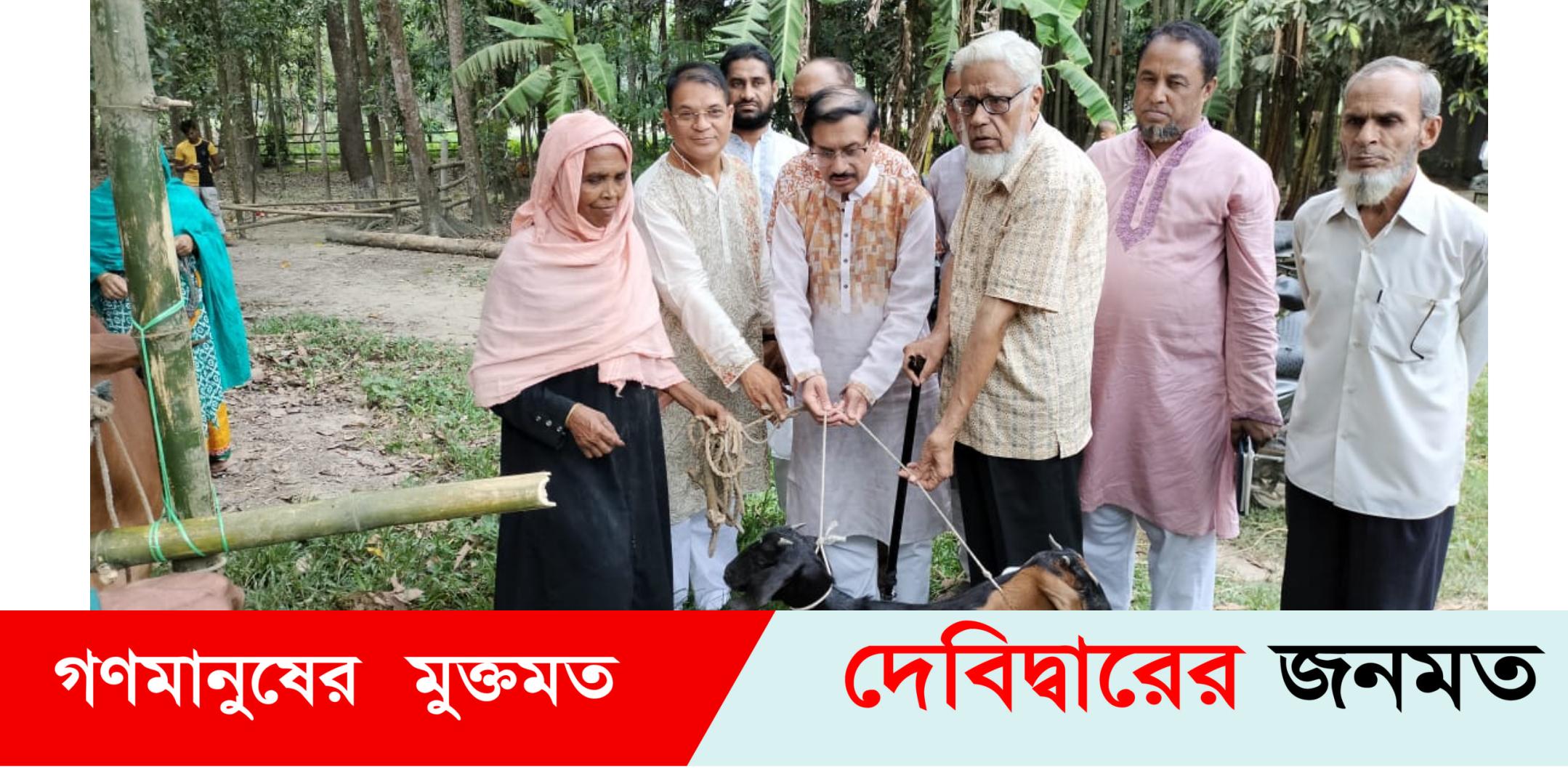 দেবীদ্বারে সুবিধাবঞ্চিত নারীদের মাঝে দেশ ডেভেলপমেন্টের গরু ও ছাগল বিতরণ
