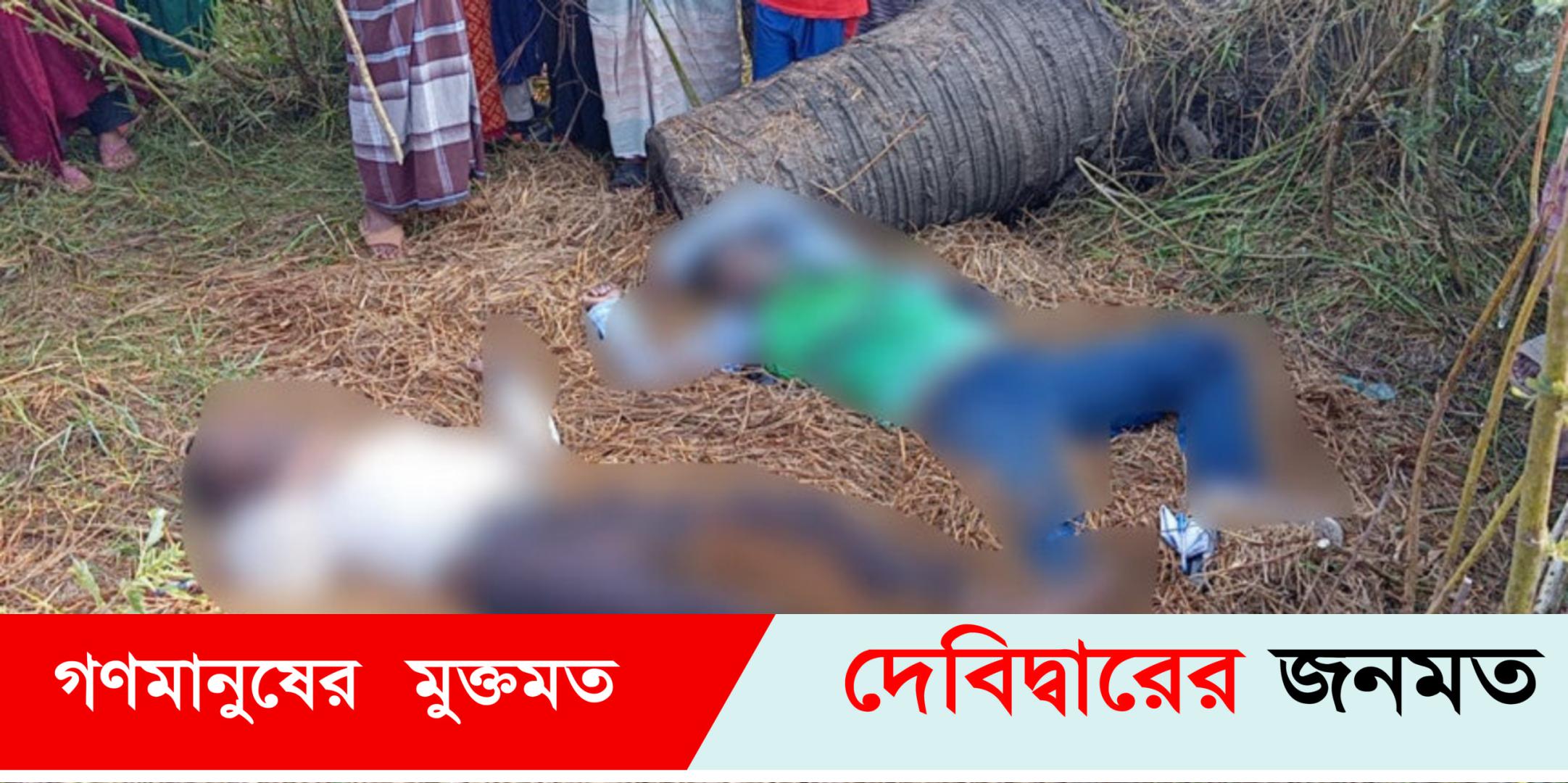 দেবীদ্বারে বিলের মধ্যে থেকে দুই যুবকের মরদেহ উদ্ধার