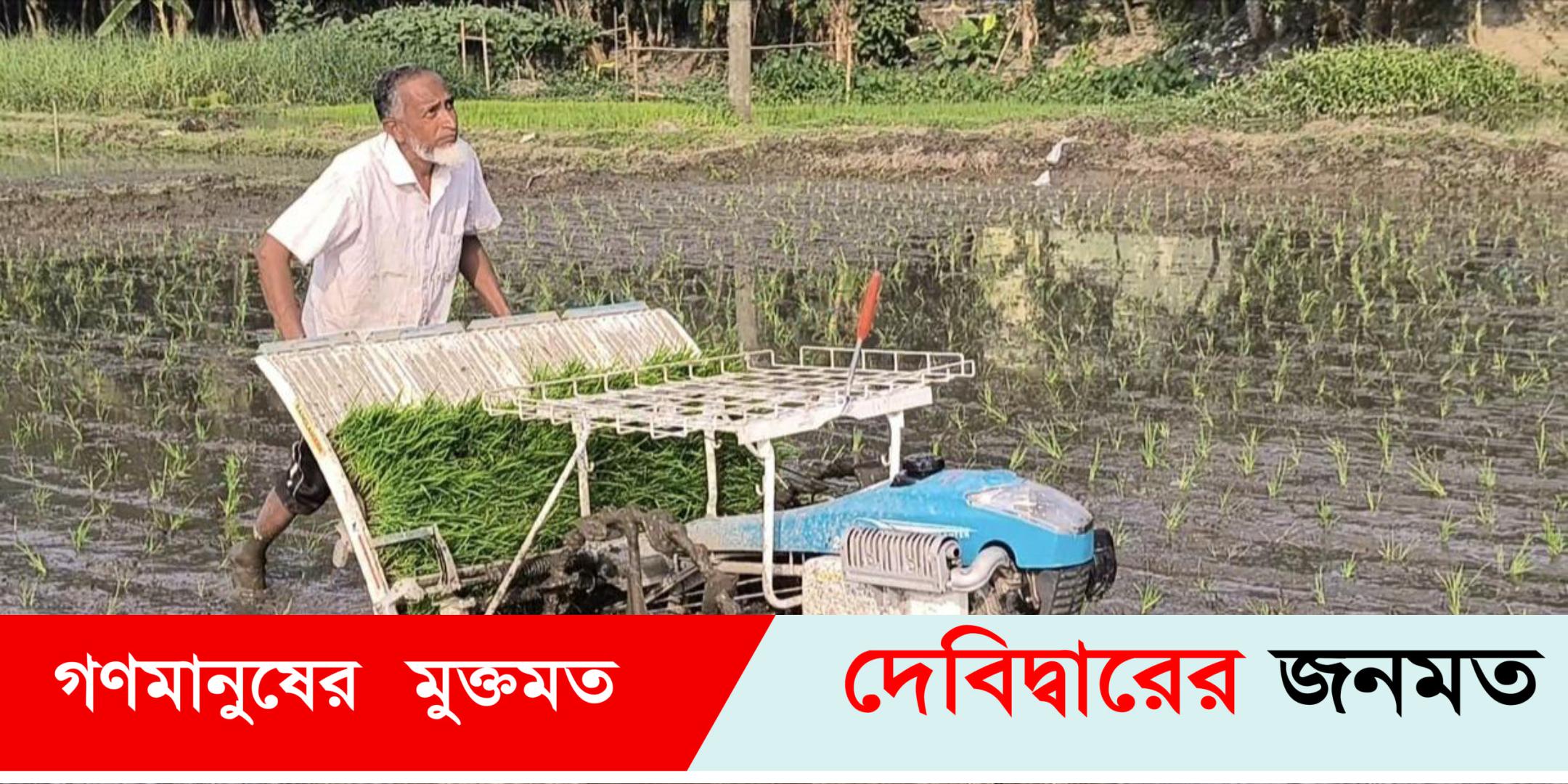 দেবীদ্বারে ট্রান্সপ্লান্টার মেশিনে ধানের চারা রোপণ