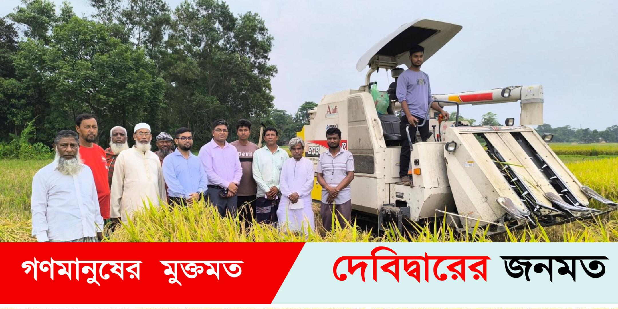 বাংলাদেশের ব্রি ধান- ১০২ এর সর্ববৃহৎ মাঠ দেবীদ্বারে